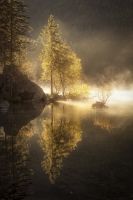 Morning Mist - Markus Van Hauten