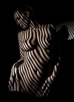 Stripes - Werner Becker
