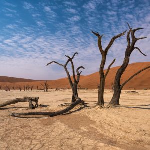 Fischer Michael - Deadvlei